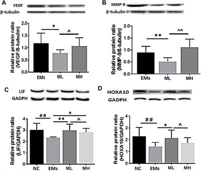 Metformin Alleviates Endometriosis and Potentiates Endometrial Receptivity via Decreasing VEGF and MMP9 and Increasing Leukemia Inhibitor Factor and HOXA10